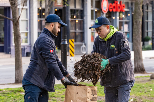 LawnSavers Team greening and cleaning up St James Park in Toronto since 2011 (1)