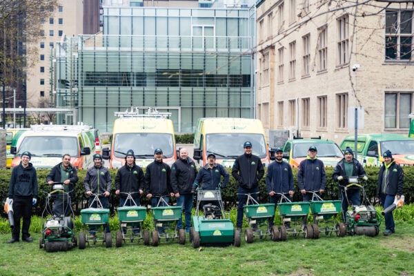 LawnSavers Team greening and cleaning up St James Park in Toronto since 2011 (2)