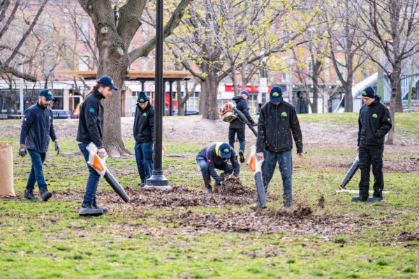 LawnSavers Team greening and cleaning up St James Park in Toronto since 2011 (3)
